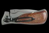 Folding Tactical Knife With Fossil Dinosaur Bone (Gembone) Inlays #127559-3
